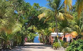 The Pelican Key Largo Cottages Exterior photo