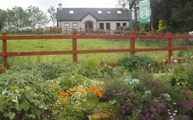 Teach An Cheoil Hotel Ballycastle Exterior photo