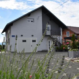 House Buric Hotel Otočac Exterior photo