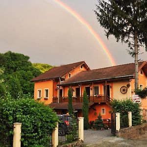 Pensiunea Ana Cristina Hotel Sighişoara Exterior photo