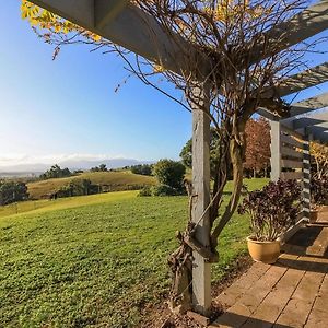 Gracedale Hills Homestead Healesville Exterior photo