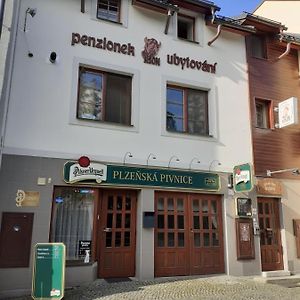 Ubytovani Nad Bisonem Hotel Hlinsko Exterior photo