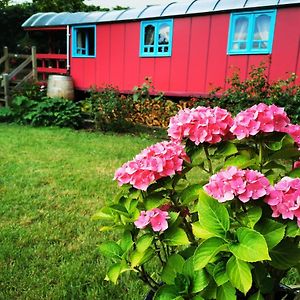 La Maison Des Oiseaux. Roulotte Bed and Breakfast Achicourt Exterior photo