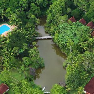 Pousada Salve Floresta Hotel Tapiraí Exterior photo