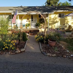 Yosemite Plaisance Bed & Breakfast Bed and Breakfast Mariposa Exterior photo