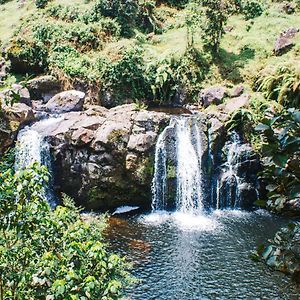 Mai Kilimanjaro Home Stay Marangu Exterior photo