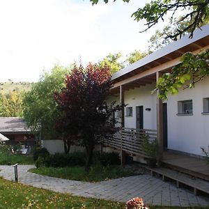 Zimmervermietung Am Habsberg Hotel Velburg Exterior photo