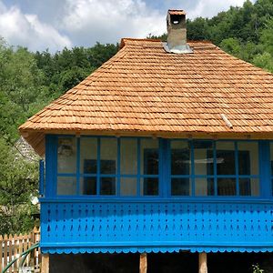 Casa Albastra Villa Băile Olăneşti Exterior photo