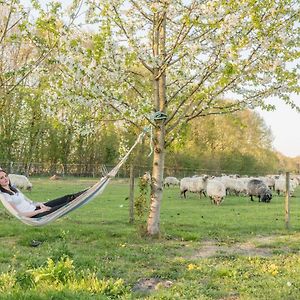 Pipowagen Lidewei Groningen Westerwolde unieke ligging met eigen tuin en vrij uitzicht over veld naar natuurgebied Bed and Breakfast Onstwedde Exterior photo