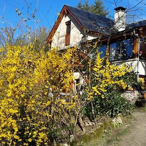 Le Casino Bed and Breakfast Florentin-la-Capelle Exterior photo