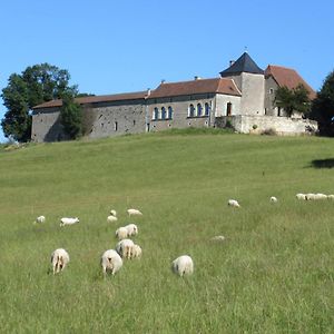 Nature Et Piscine Au Sommet Du Perigord Bed and Breakfast Tourtoirac Exterior photo