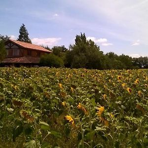 Berdale Bed and Breakfast Lagraulet-du-Gers Exterior photo