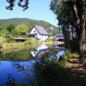 Au Numero 6 Bed and Breakfast Obersteinbach Exterior photo