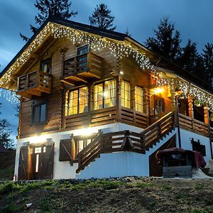 Tulean Cabin Bed and Breakfast Săcel Exterior photo