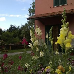 La Torretta Bed & Breakfast Bed and Breakfast Torriglia Exterior photo