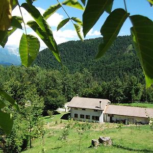 Bosco Delle Rune ..Un Angolo Di Paradiso Bed and Breakfast Platischis Exterior photo