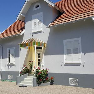 Au Berceau Du Loup Agile Bed and Breakfast Offendorf Exterior photo