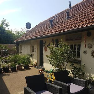 De Boerebeemd Bed and Breakfast Lieshout Exterior photo