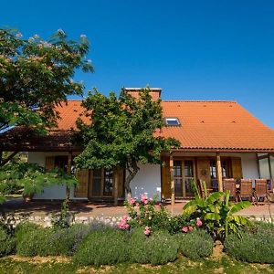 Boraszporta Hotel Villány Exterior photo