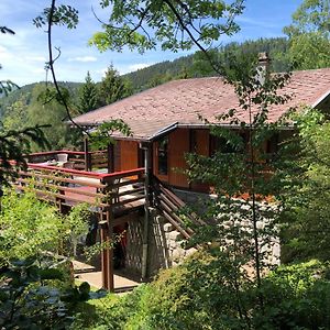 Chalet Braunkopf Alsace Villa Muhlbach-sur-Munster Exterior photo