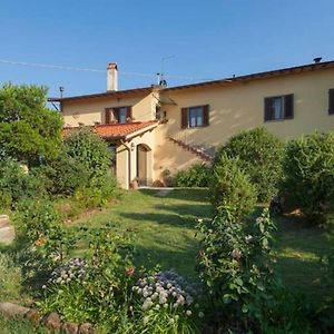 Villa Porcigliano Olive Grove Polcanto Exterior photo