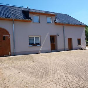 Haus Schritte Villa Hinterweiler Exterior photo