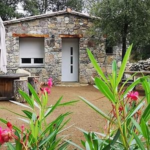 Domaine Rondini Hotel Moltifao Exterior photo