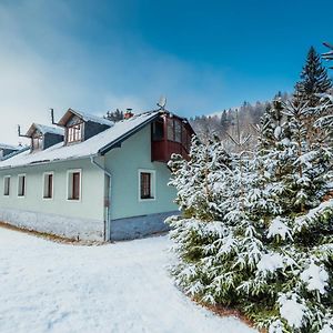 Chata Pod Mravenecnikem Villa Loučná nad Desnou Exterior photo