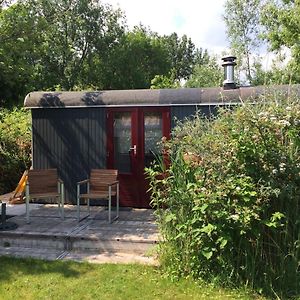 Gipsy wagon near Amsterdam&beach Villa Velserbroek Exterior photo