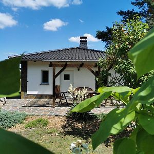 Ferienhaus Hase Bomsdorfer Hof Villa Grafenhainichen Exterior photo