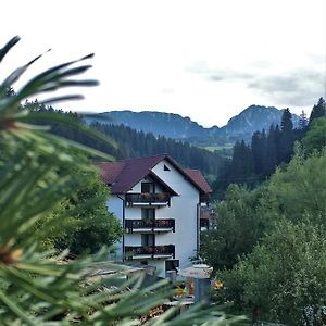 Pensiunea Maidali Hotel Braşov Exterior photo