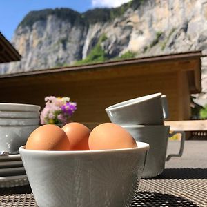 Clean And Comfy With Garden Terrace And Parking Appartement Lauterbrunnen Exterior photo