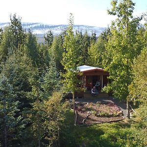 Bakkakot 1 - Cozy Cabins in the Woods Akureyri Exterior photo