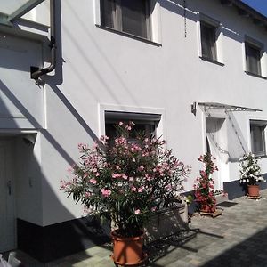 Ferienhaus Fam. Bisgen Appartement Niederkirchen bei Deidesheim Exterior photo