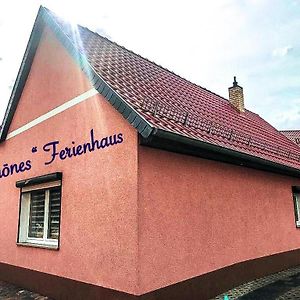 „Schoenes“ Ferienhaus Villa Thale Exterior photo