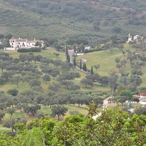 La Rejaquera Villa Villanueva del Rio y Minas Exterior photo