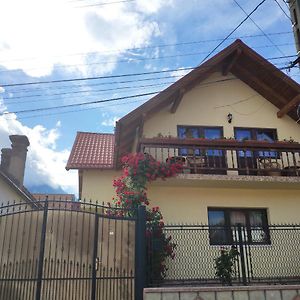 Casa Piatra Craiului Hotel Zărneşti Exterior photo