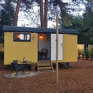 Forest Heath Shepherd'S Huts Villa Ringwood Exterior photo