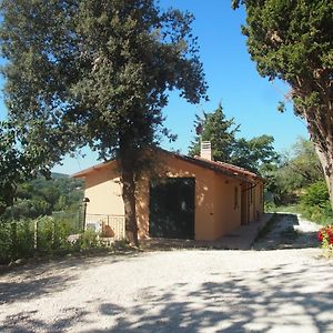 Agriturismo Ardizio 43 Hotel Pesaro Exterior photo