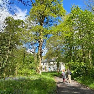 Blackhill Woods Retreat Pension Abbeyleix Exterior photo