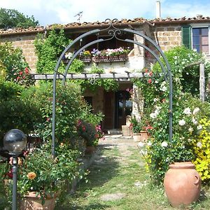 Le Querciolaie Monte Cavallo - Upper Apartment Saturnia Exterior photo