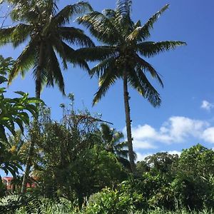 Logement en pleine verdure tropicale -10 min plage Appartement Le Morne-Rouge Exterior photo