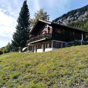 Irene Appartement Bitsch Exterior photo