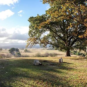 Twamley Farm Villa Buckland Exterior photo