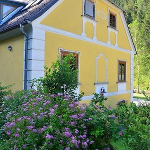 Ferienwohnung Raabklamm Arzberg Exterior photo