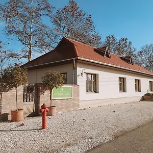 Herba-Haz Bed and Breakfast Danszentmiklos Exterior photo