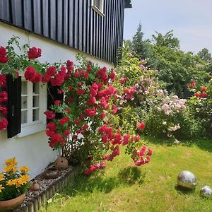 Im Dreilaendereck - Dom Przy Trzech Granicach Appartement Leśna Exterior photo