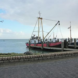 Beautiful Villa On Terschelling In The Dunes 150 Meters Away Midsland aan Zee Exterior photo