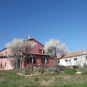 Casa Rosa Bed and Breakfast San Costanzo Exterior photo