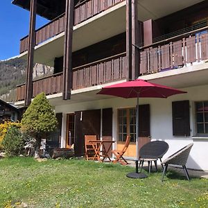 Le Cerf, Magnifique Studio Avec Jardin-Terrasse Et Garage Appartement Evolène Exterior photo